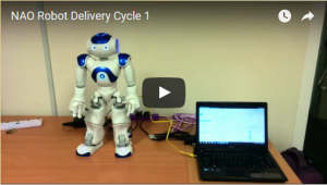 Assessment and feedback analytics with humanoid robot